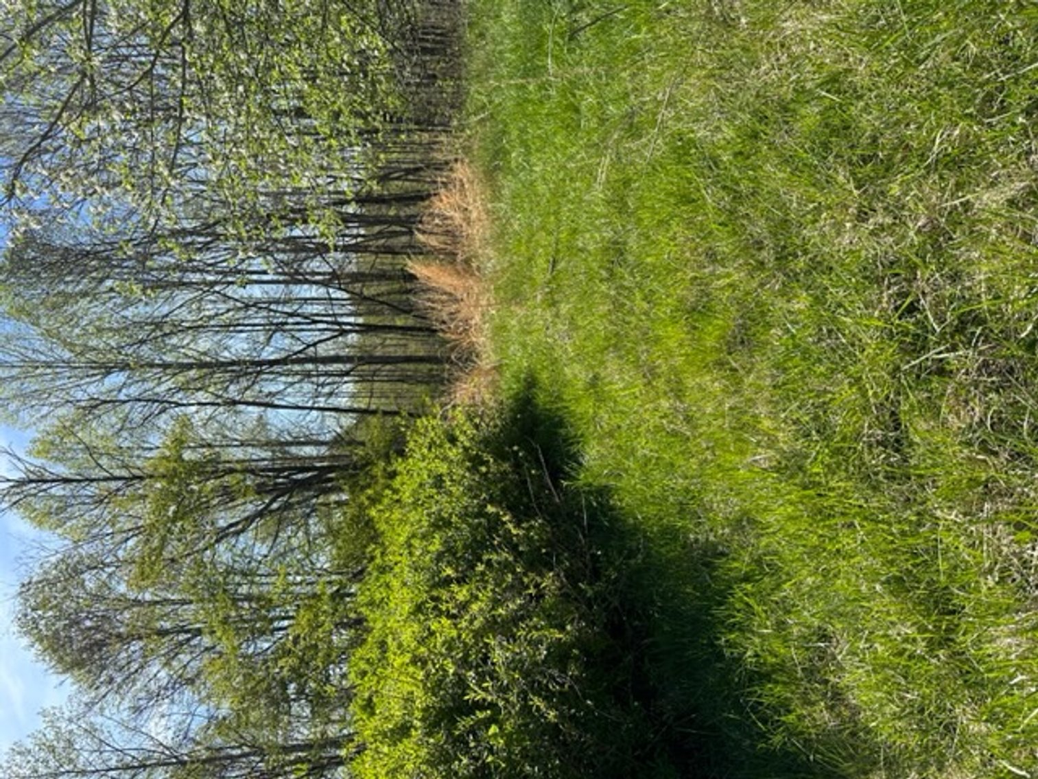 Image for 620 Park Rd., Mayodan, NC