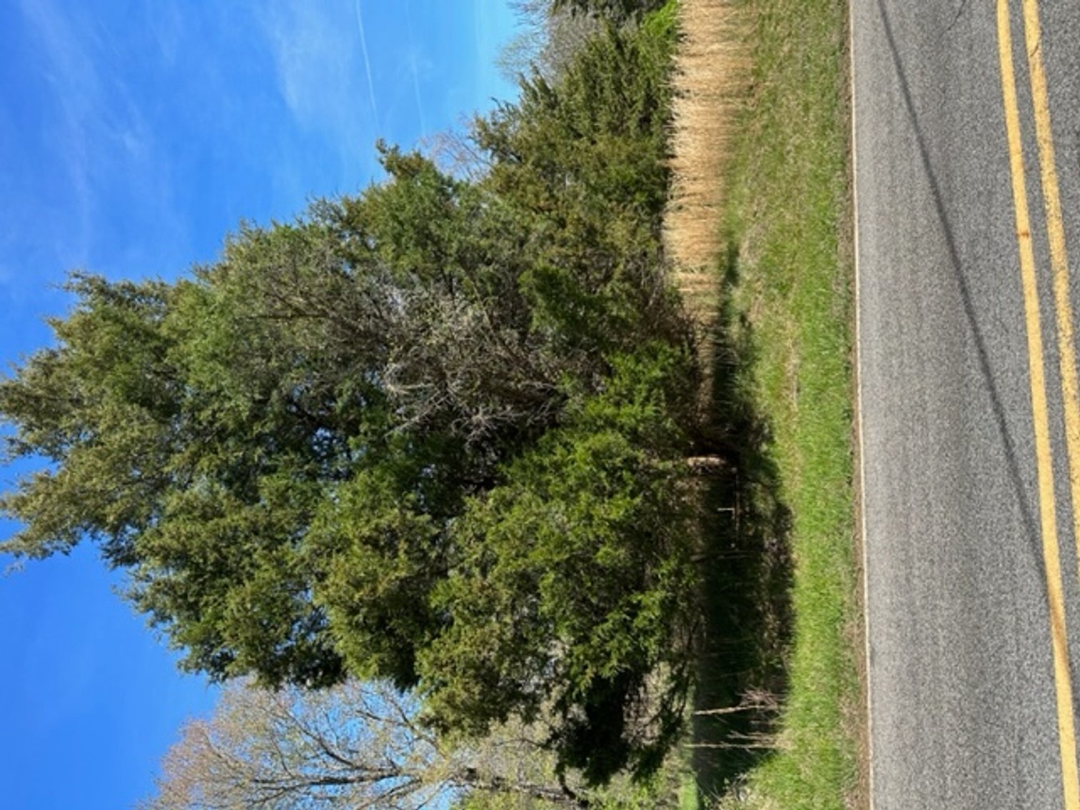 Image for 620 Park Rd., Mayodan, NC