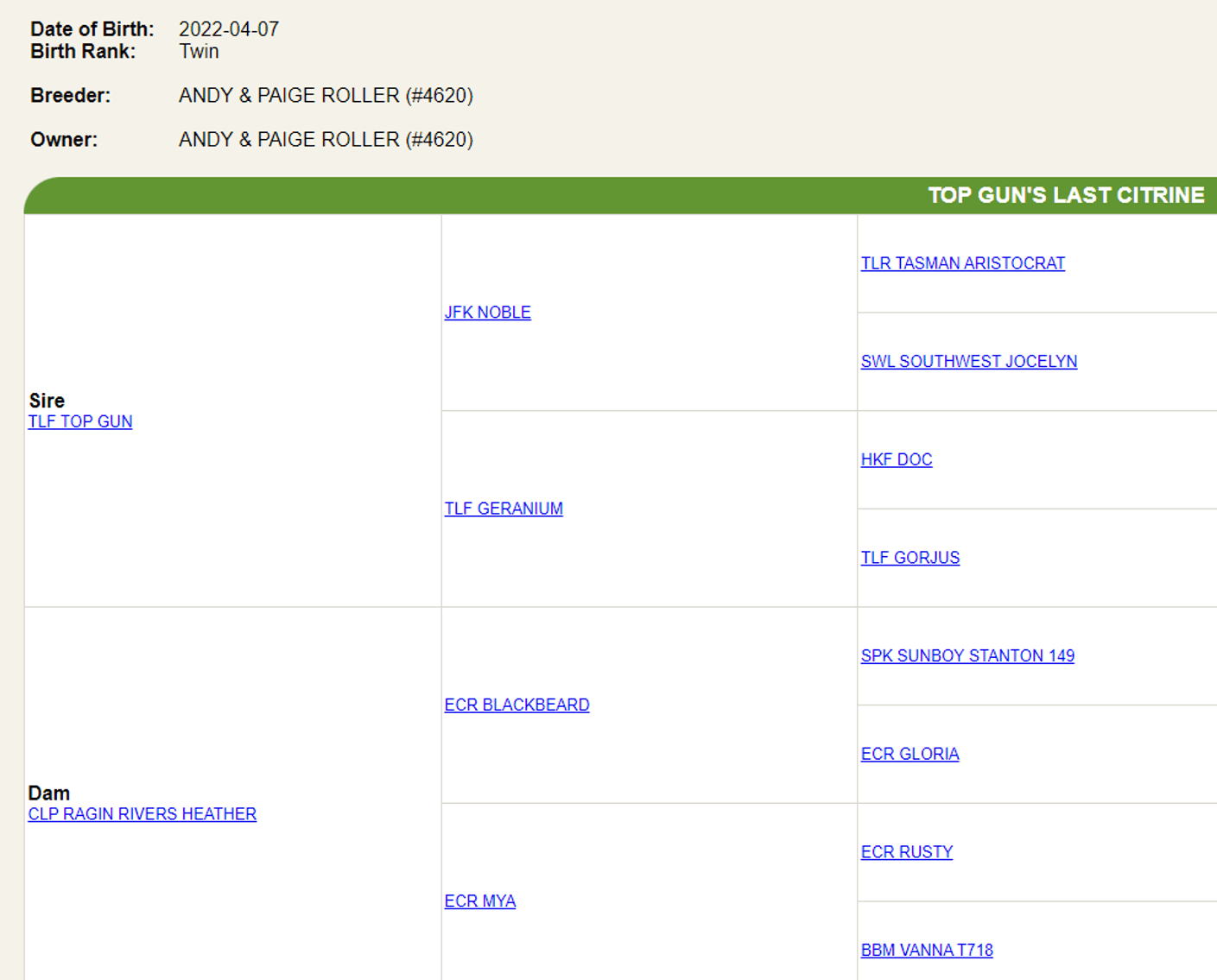 Image for 2023 AKGA - Breeders Showcase Sale