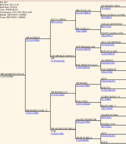 Image for 2023 Cream Of The Crop- Kiko Sale