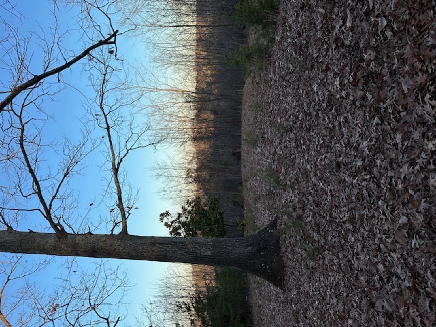 Image for 725 CN Smith Mill Rd., Stoneville, NC