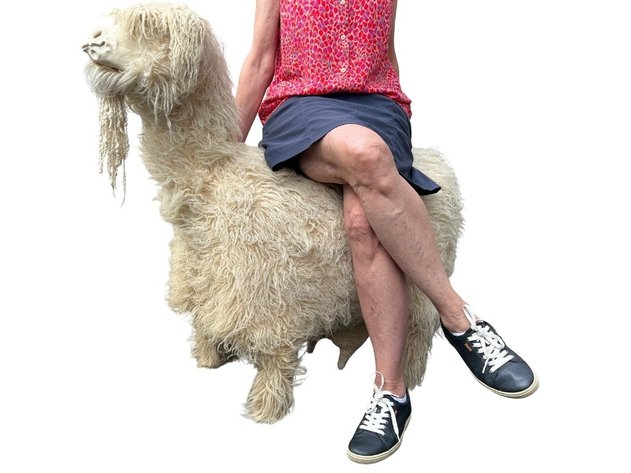 Image for AUGUST Discovery online estate auction