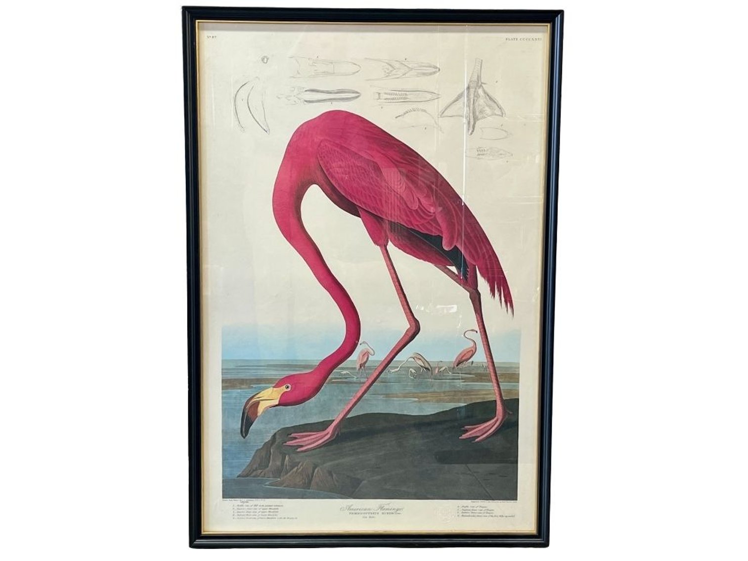 Image for SUMMER SMASH!