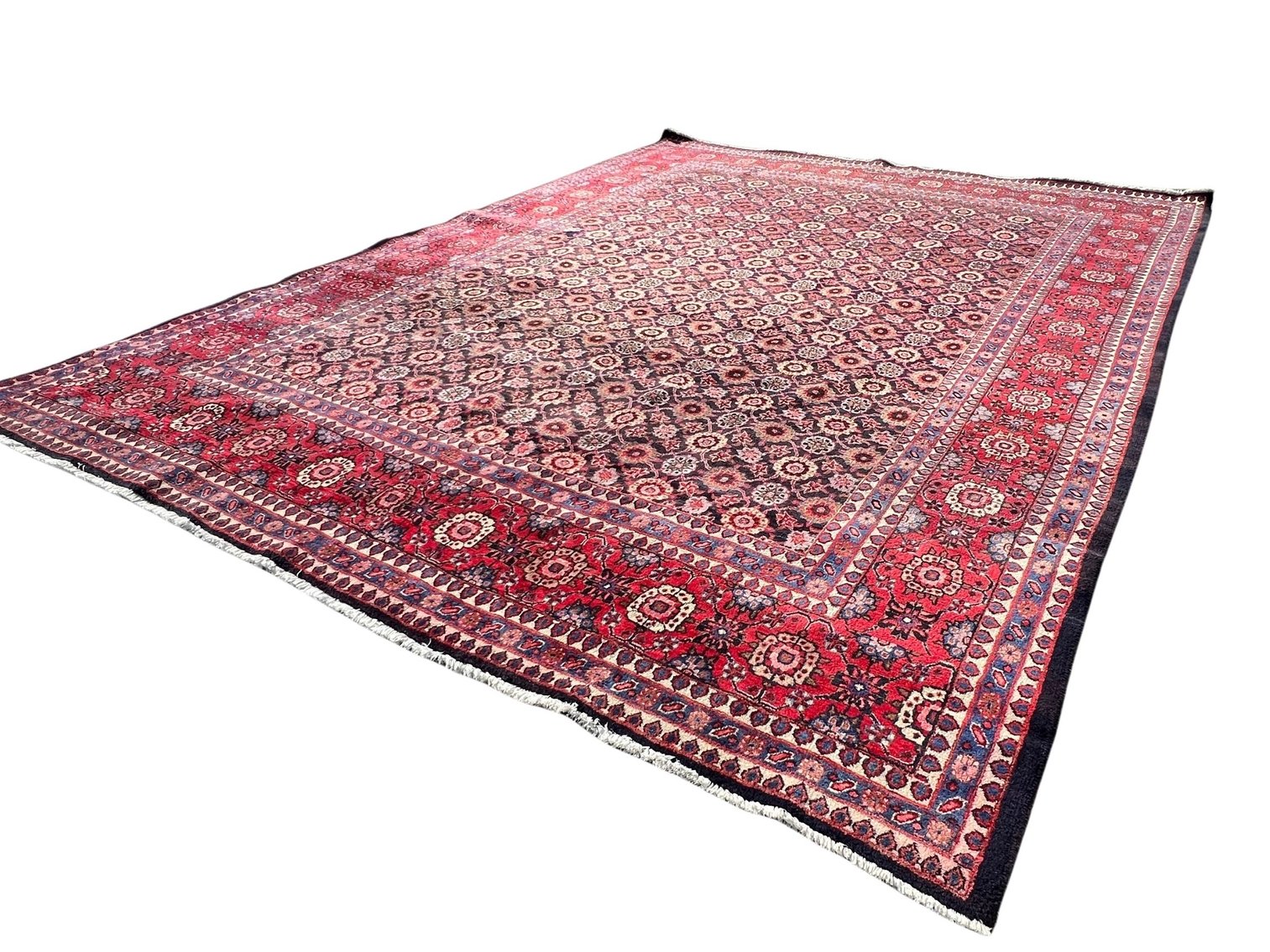 Image for THE HACKETT COLLECTION