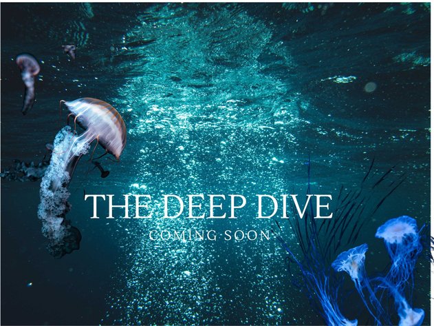 Image for Coming soon THE DEEP DIVE