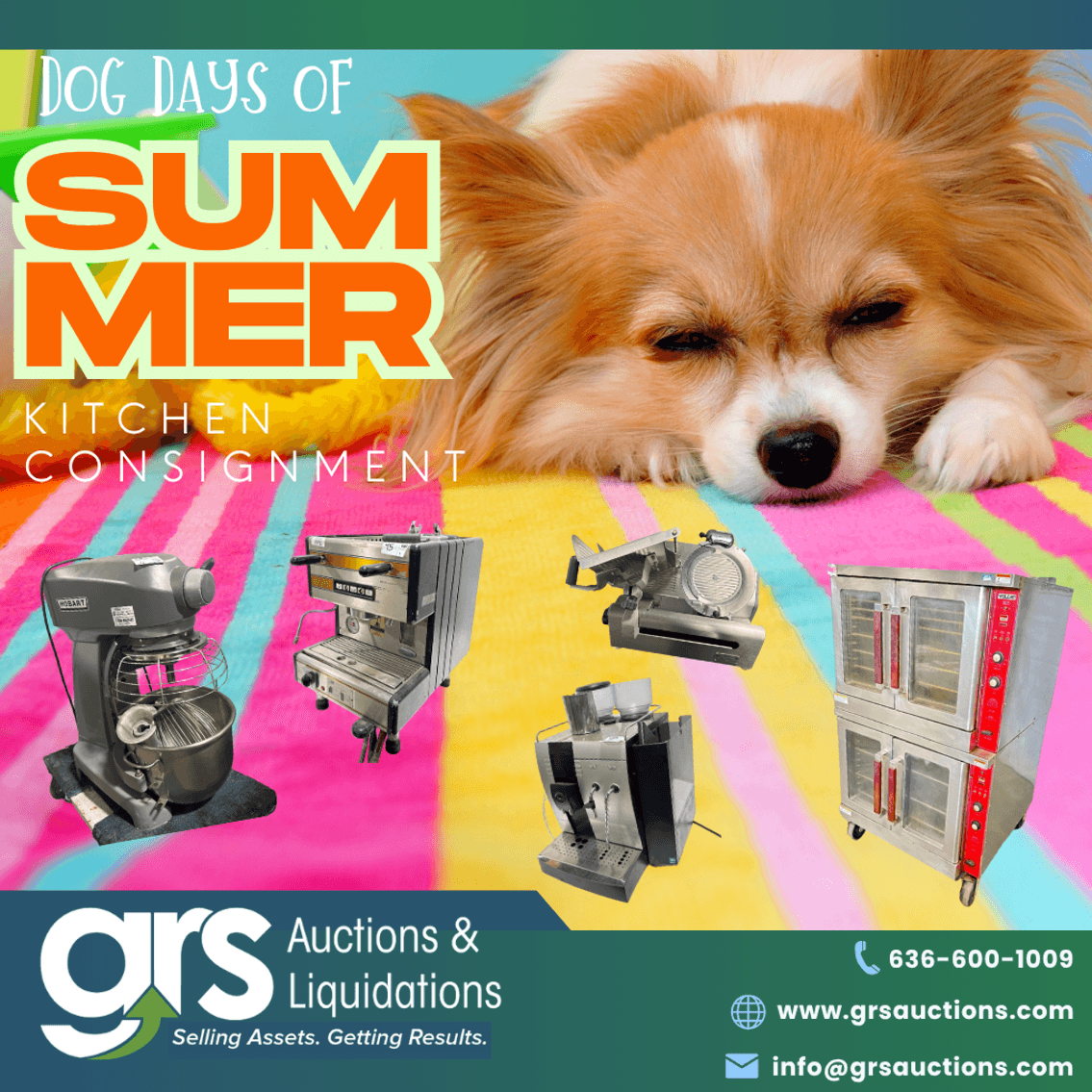 Dog Days of Summer Kitchen Consignment