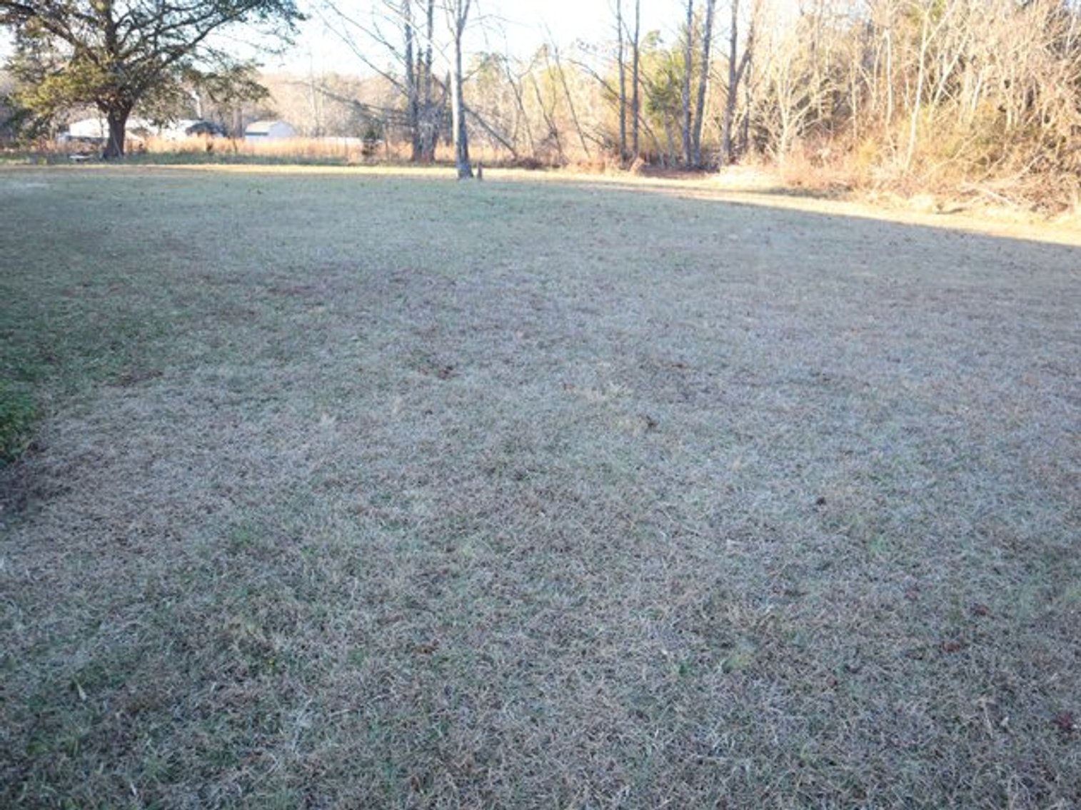 Image for VERNON HILL