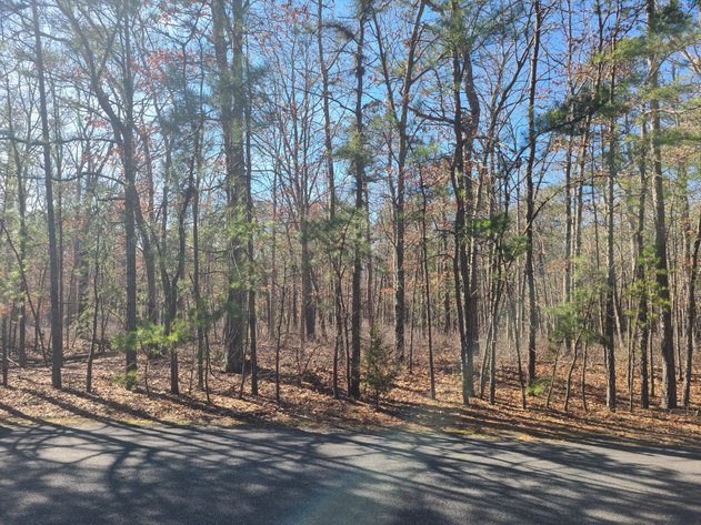 Image for 310 +/- Acres in Egg Harbor Township - Perfect Recreational Getaway