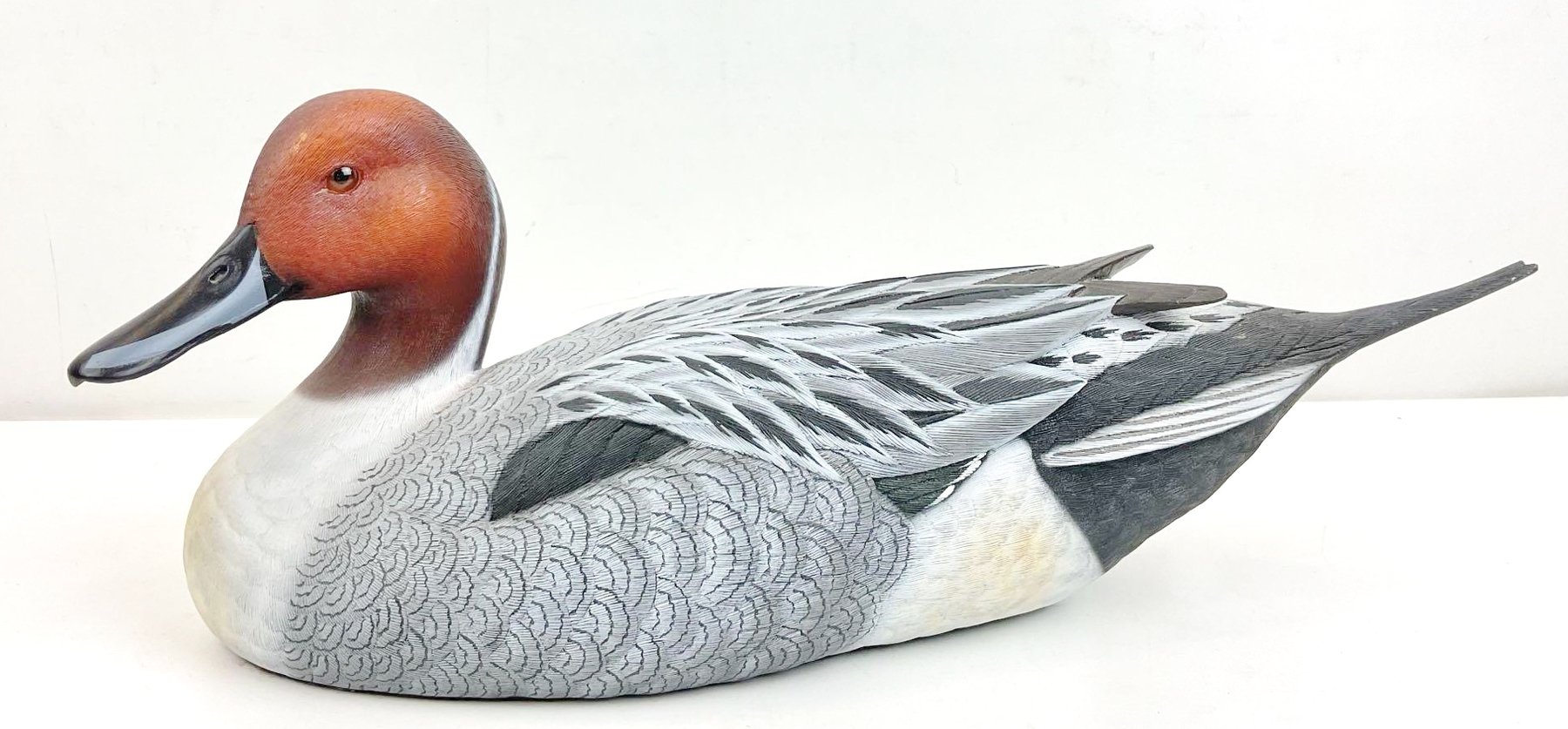 Image for Home & Decor | April 11, 2024 at 8:00 PM