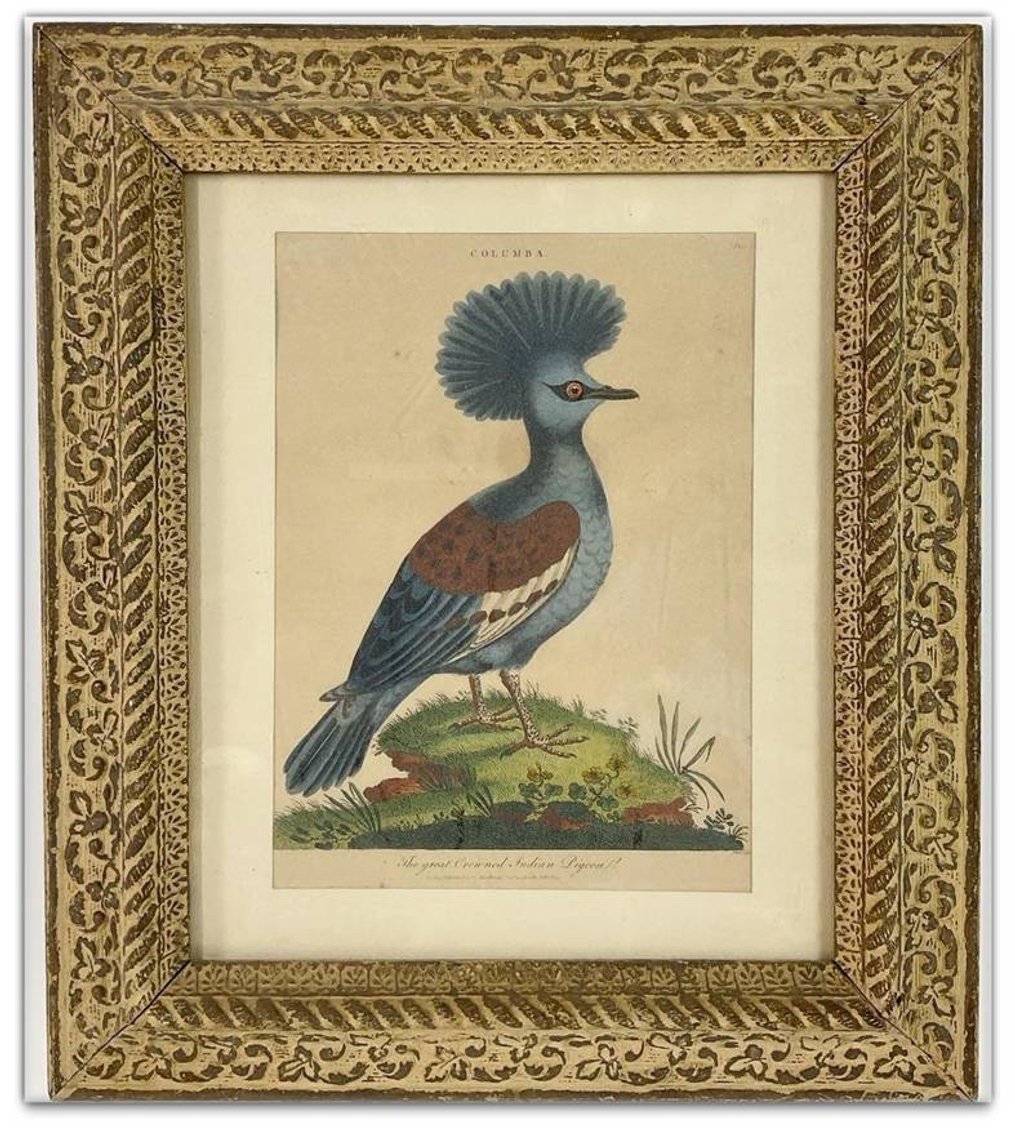 Image for Discovery Art | August 15, 2024