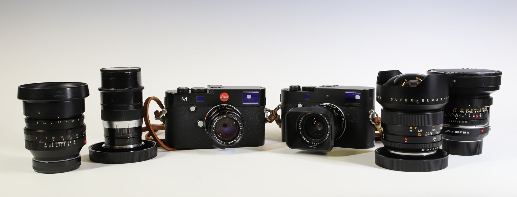 Image for Collectors | Day 1 | October 16, 2024 at 10:00 AM