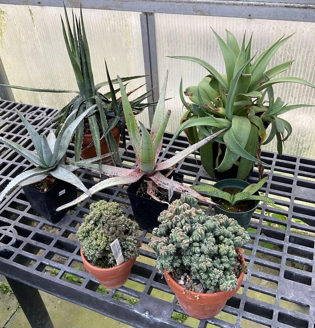 Image for Paxson Hill Farm Gardens and Nursery Part 1 | New Hope, PA | October 21, 2024 at 7:00 PM