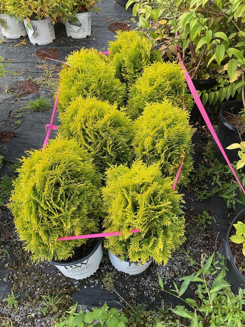 Image for Paxson Hill Farm Gardens and Nursery Part 2 | New Hope, PA | October 22, 2024 at 7:00 PM