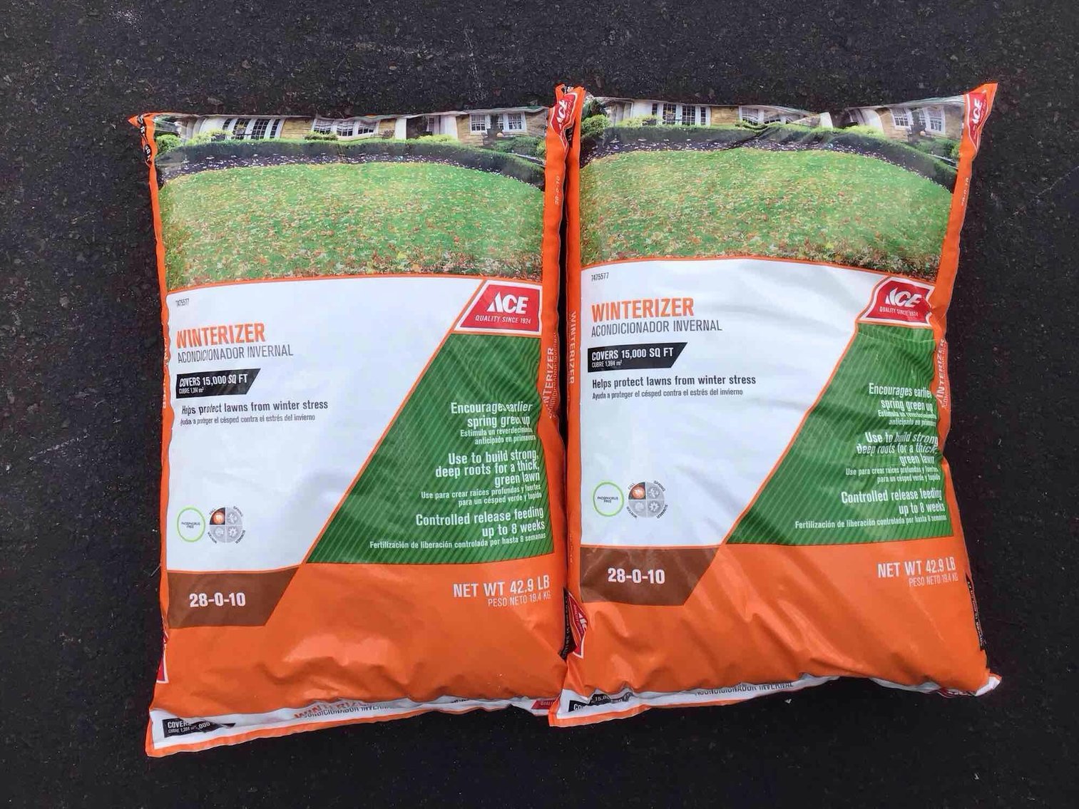 Image for Holiday Lights and Seasonal Items | Kerry's ACE Hardware Business Liquidation | October 20, 2024 at 7:00 PM