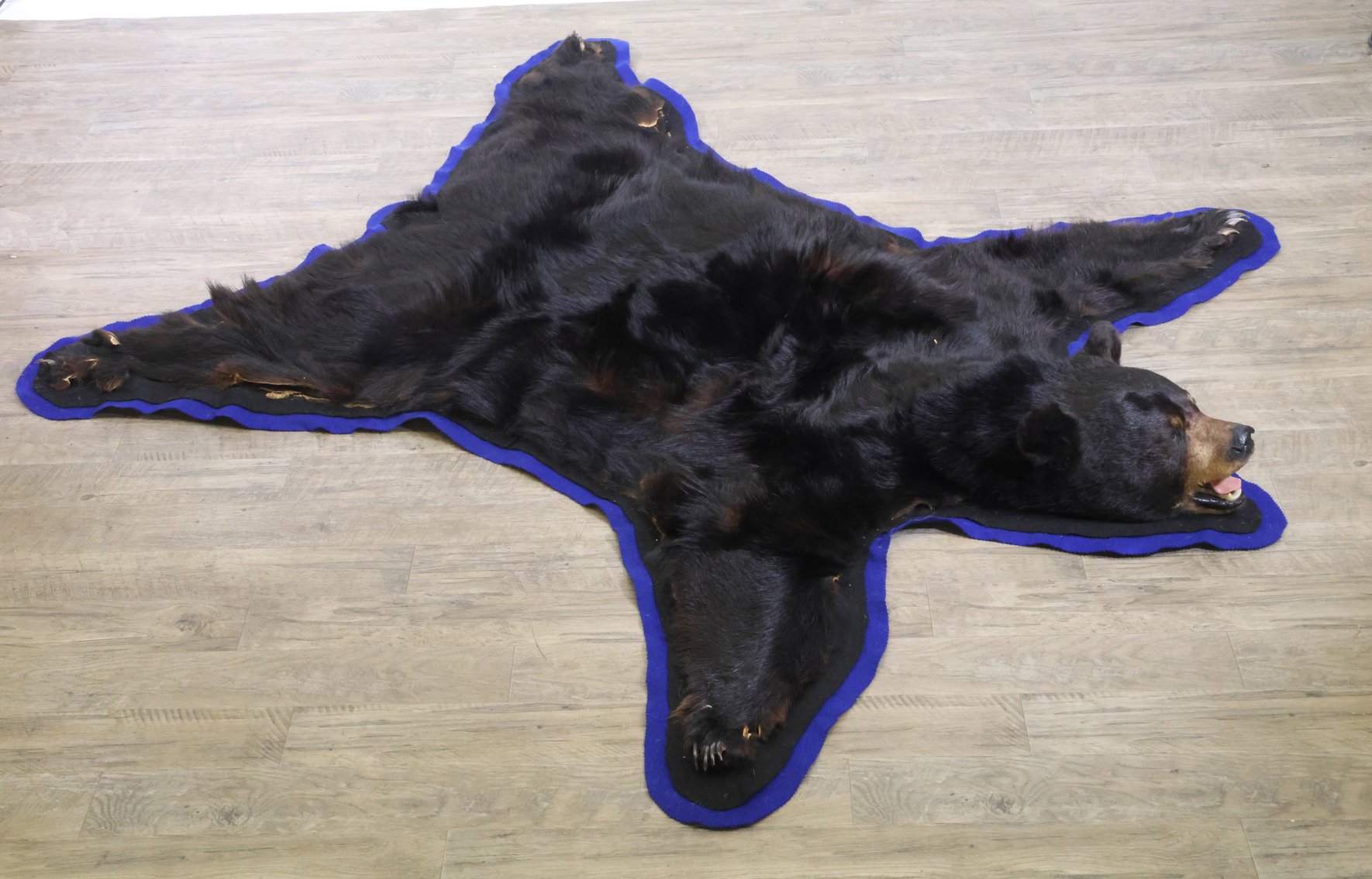 Image for Firearm and Sporting Accessories, Militaria, and Taxidermy | January 8, 2025 at 7:00 PM