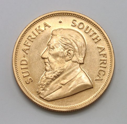 Image for Collectors | Day 1 | January 22, 2025 at 10:00 AM