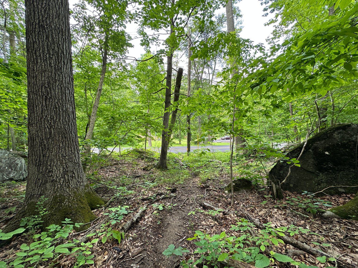 Image for Sold! Vacant Lot For Auction | 2751 Swamp Creek Road, Pennsburg, PA 18073 | July 8, 2025 at 4:00 PM