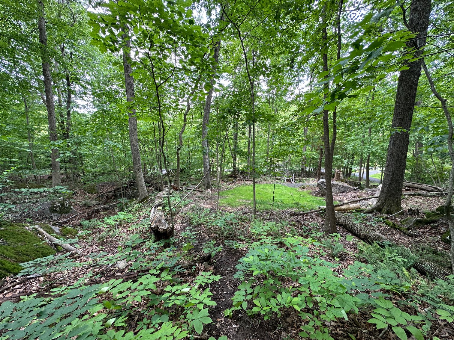 Image for Sold! Vacant Lot For Auction | 2751 Swamp Creek Road, Pennsburg, PA 18073 | July 8, 2025 at 4:00 PM