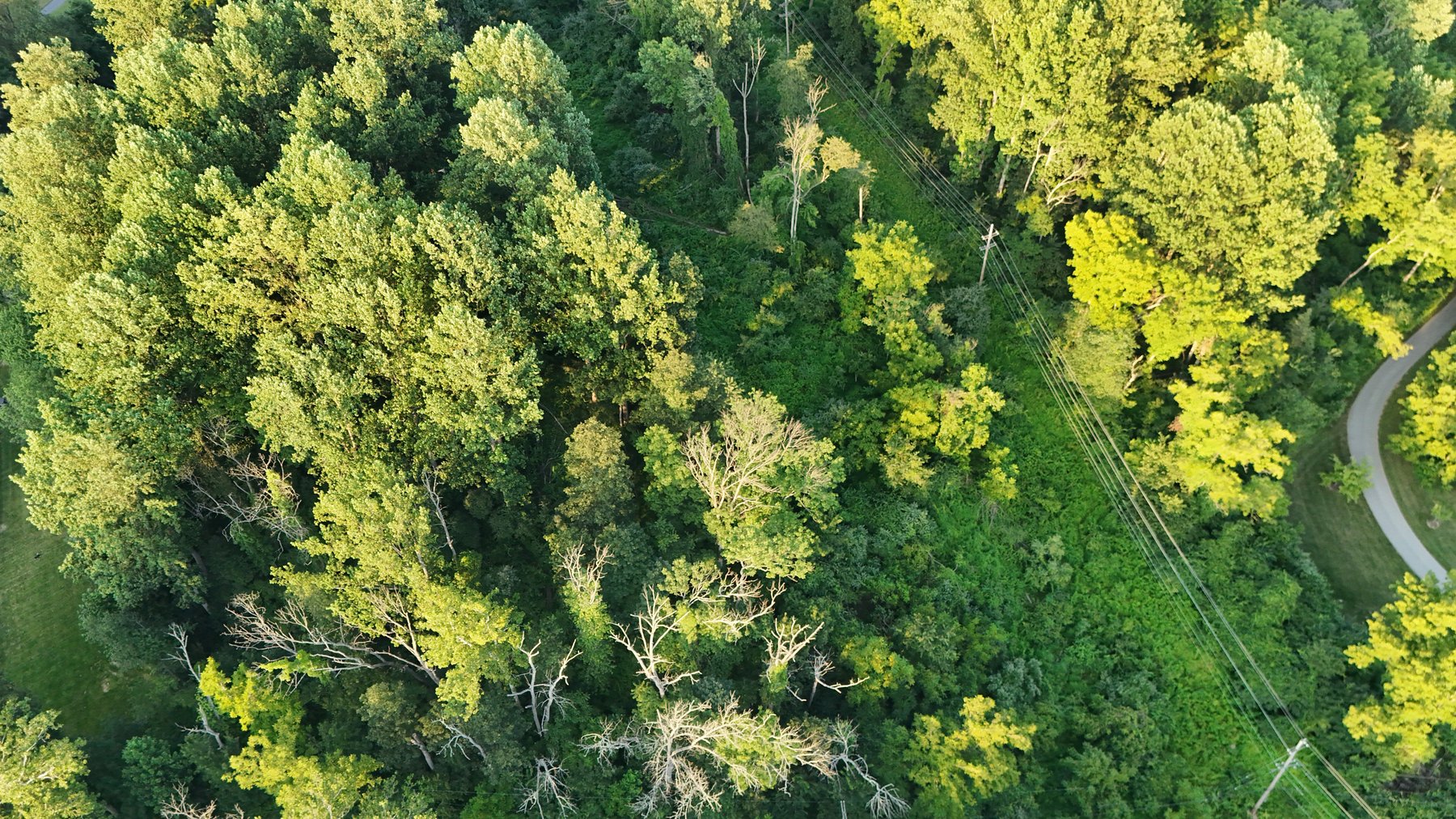 Image for Sold! Land For Auction | 554 Merlin Road, Phoenixville, PA 19460 |  September 23, 2025 at 4:00 PM