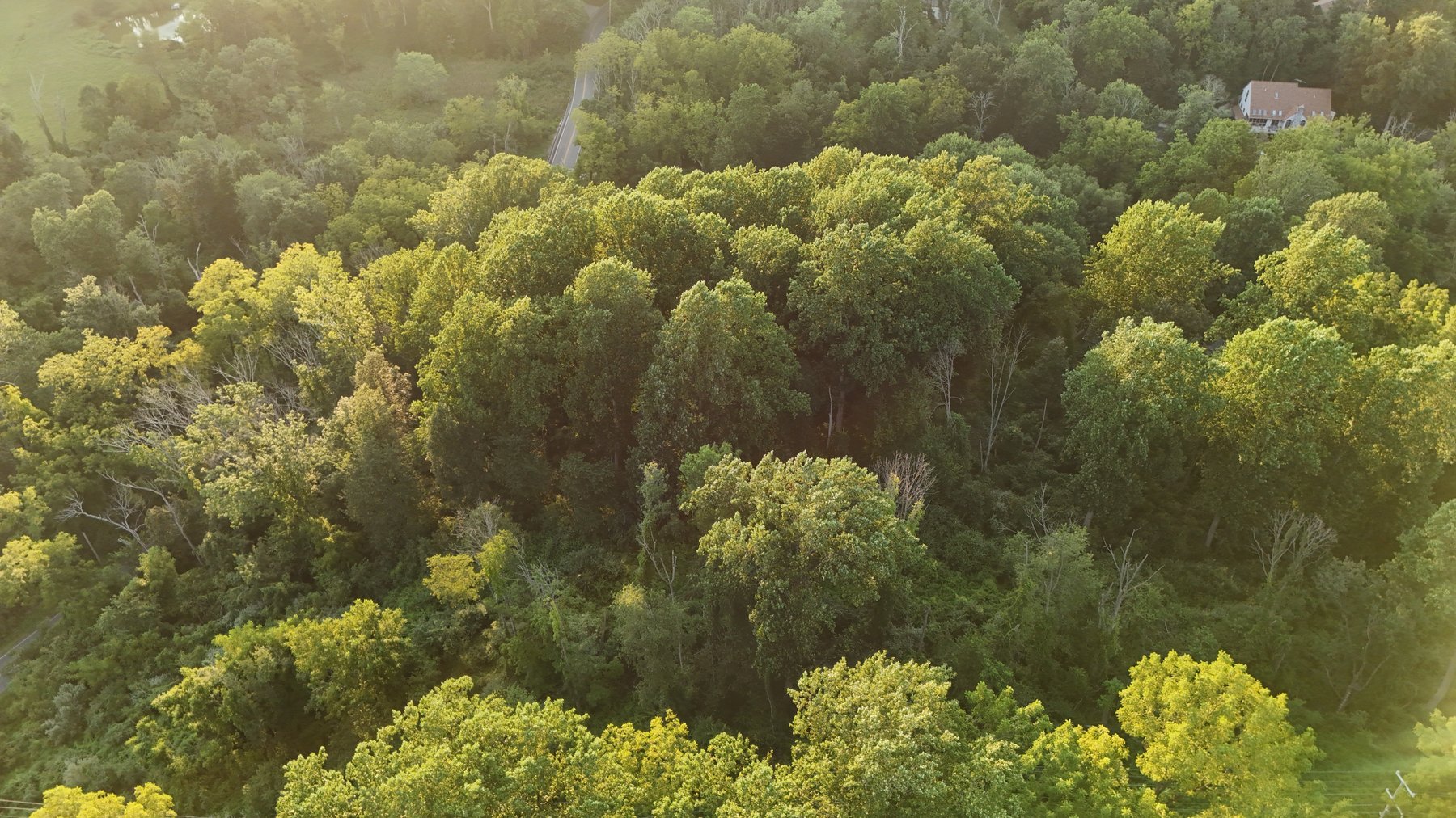 Image for Sold! Land For Auction | 554 Merlin Road, Phoenixville, PA 19460 |  September 23, 2025 at 4:00 PM