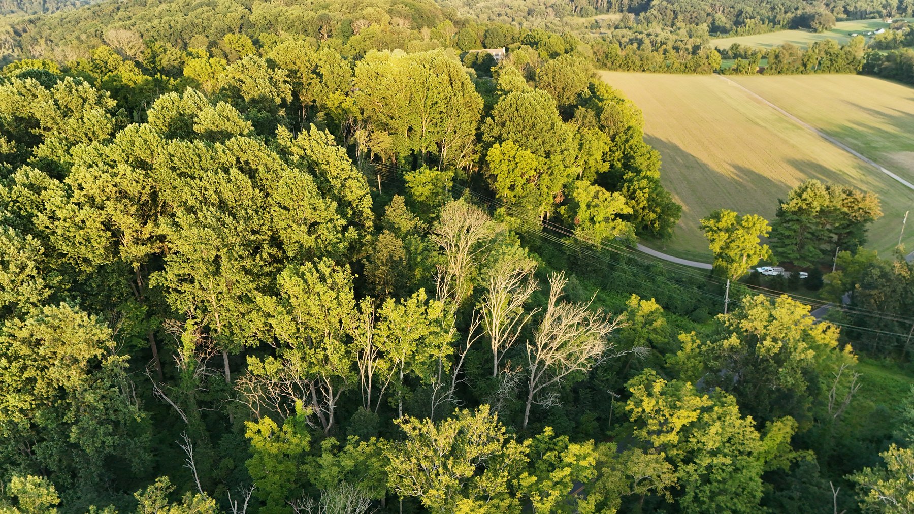 Image for Sold! Land For Auction | 554 Merlin Road, Phoenixville, PA 19460 |  September 23, 2025 at 4:00 PM