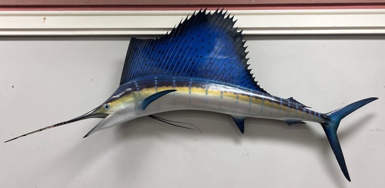 Image for Firearm Accessories, Military, Knives, Sporting, and Taxidermy | October 29, 2025 at 7:00 PM