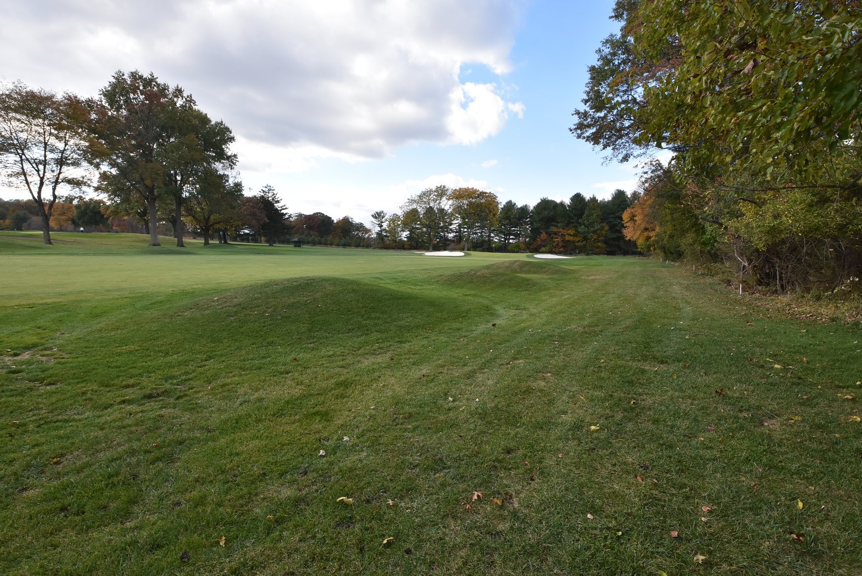 Image for Sold! Real Estate For Auction | 422 Wyndon Rd, Ambler, PA 19002 | November 20, 2025 at 4:00 PM