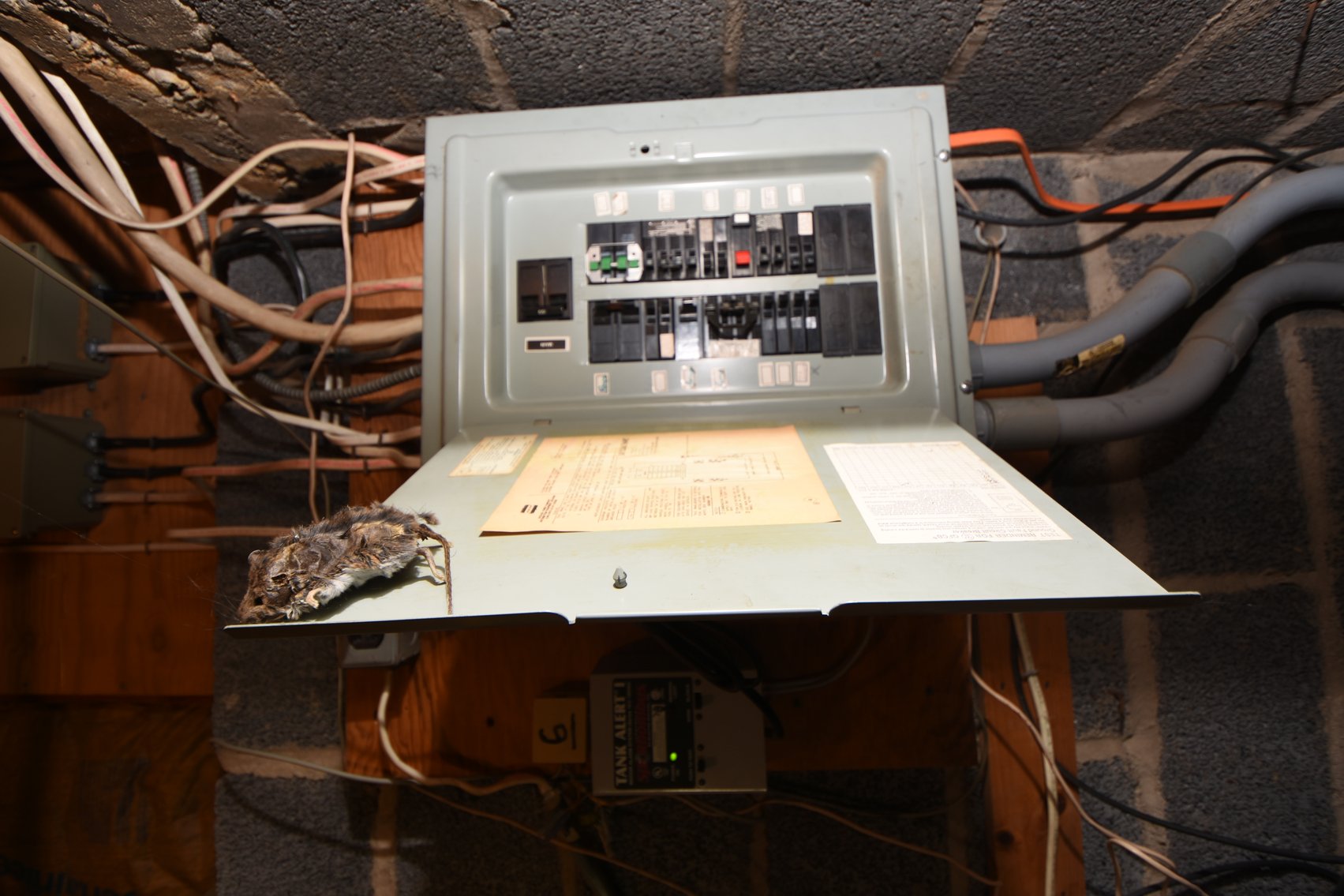 Image for Sold! Real Estate For Auction | 1692 Chestnut Ridge Rd, Upper Black Eddy, PA 18972 | November 18, 2025 at 4:00 PM