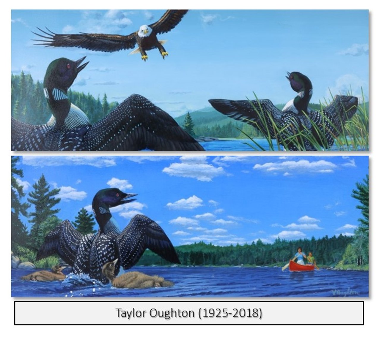 Image for Discovery Art | February 11, 2026 at 7:00 PM