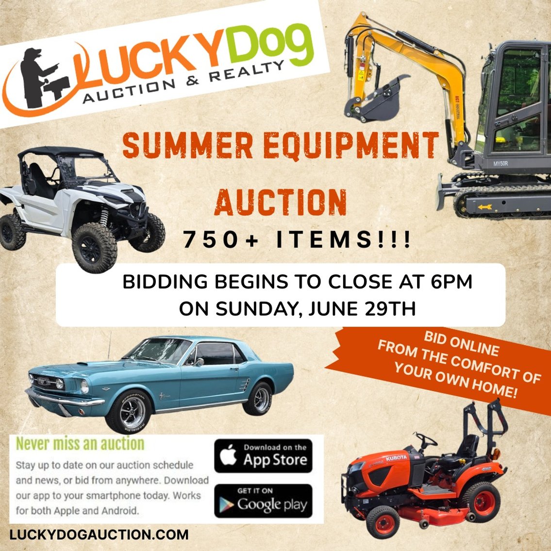 Image for Summer Equipment Auction