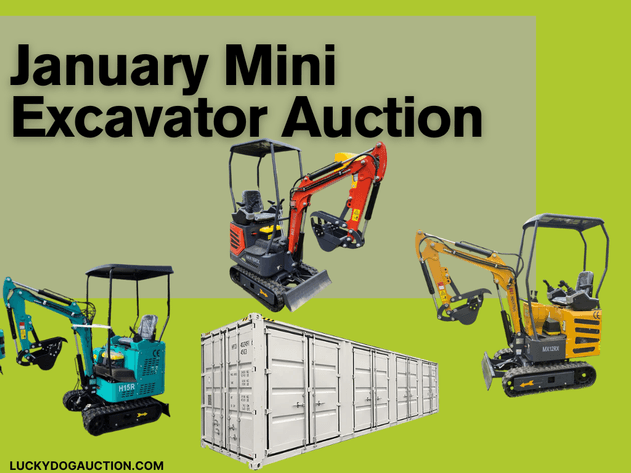 Image for January Mini Excavator Auction