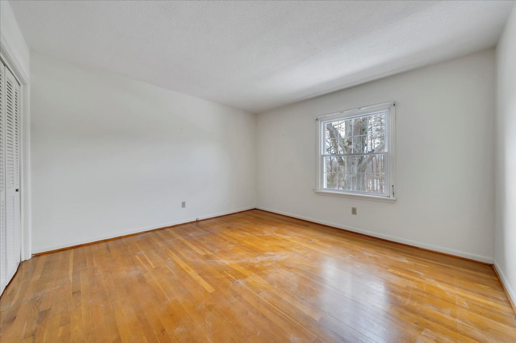 Image for 1807 Sam Lions Trail Real Estate Auction