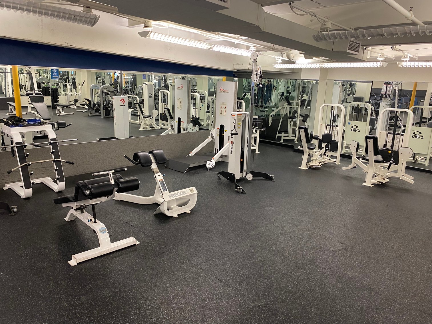 Image for Fitness Equipment Auction