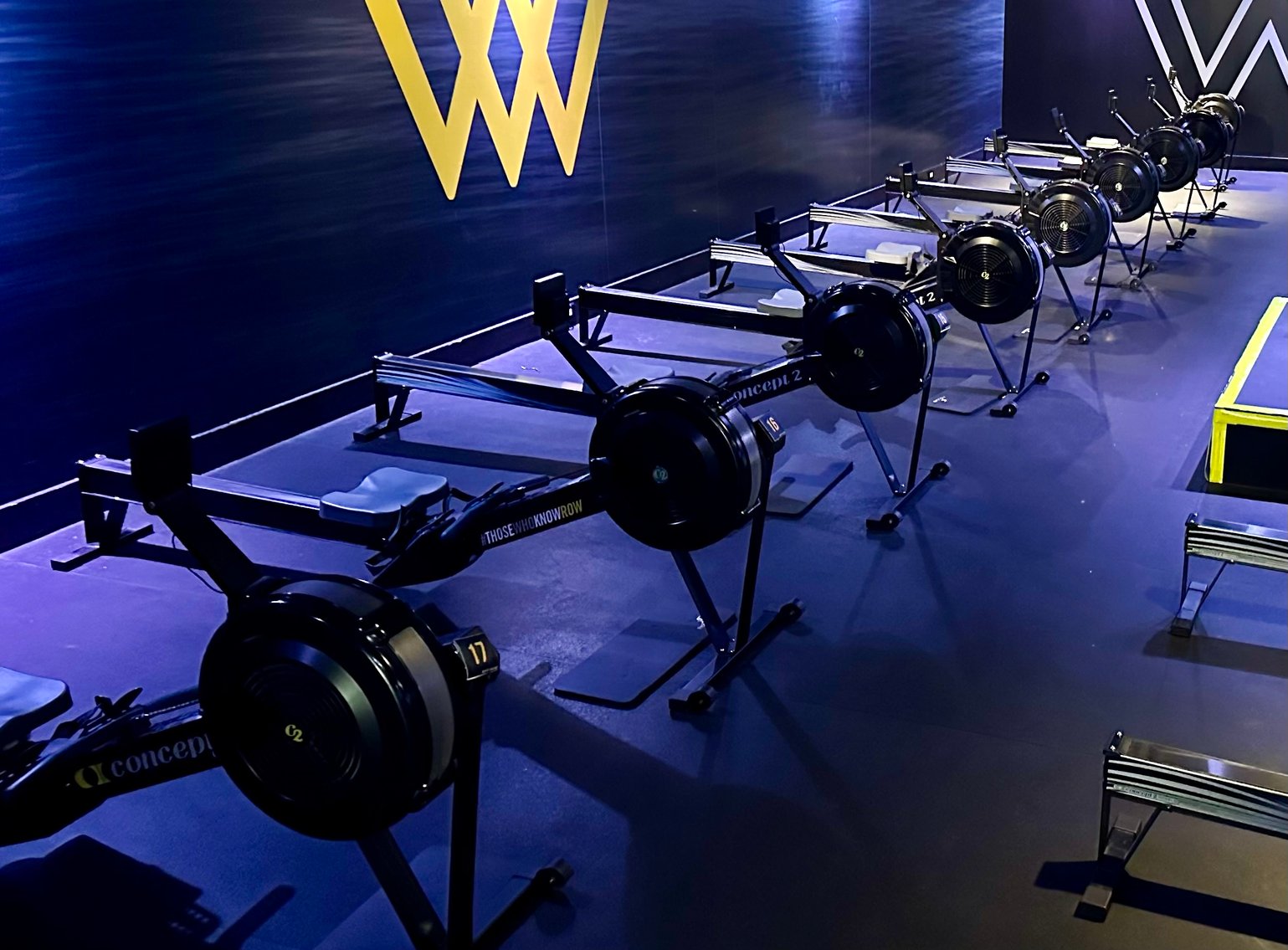 Image for Concept II Rowers & Contents of Rowing Gym