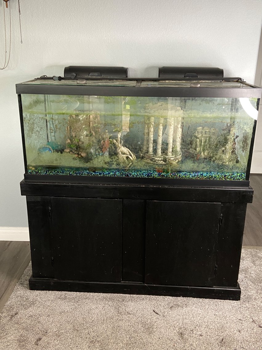 Image for Kings Deer Estate Auction