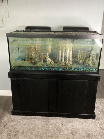 Image for Kings Deer Estate Auction