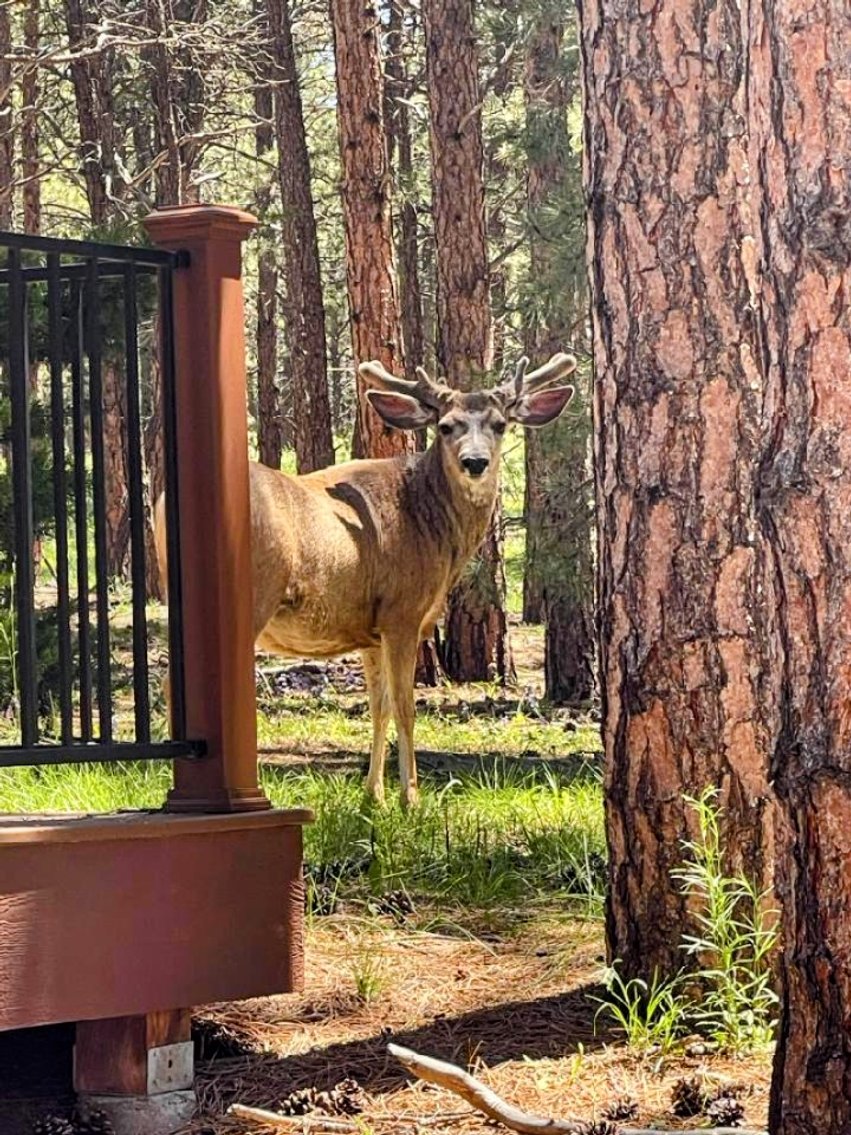 Image for SOLD Arrowwood Real Estate Auction