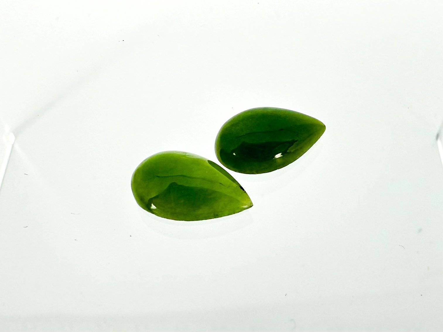 Image for September Shimmer & Shine 2023