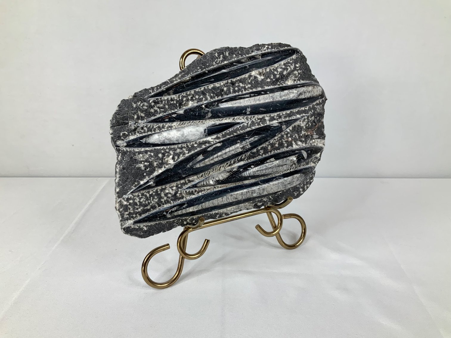 Image for Paradise at GlenEagle Estate Auction