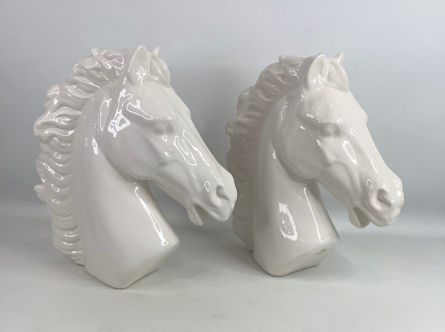 Image for Delightful Discoveries March 2024