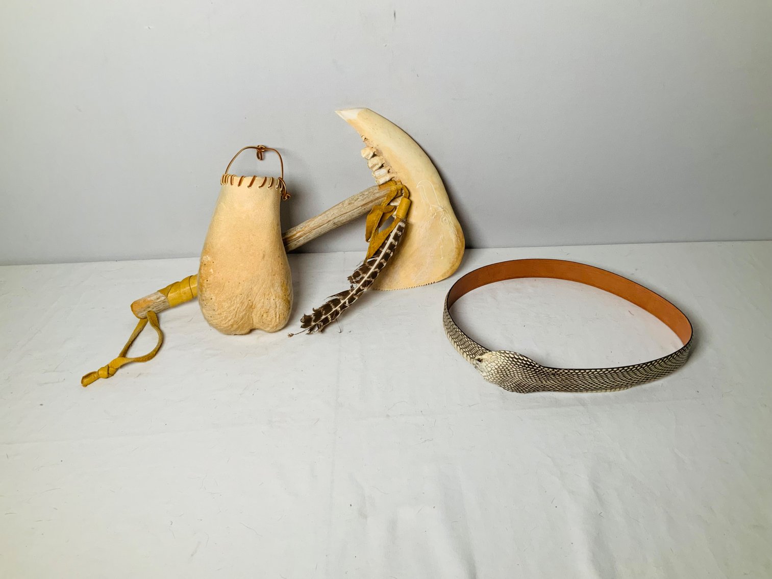 Image for Taxidermy & More-Colorado Springs