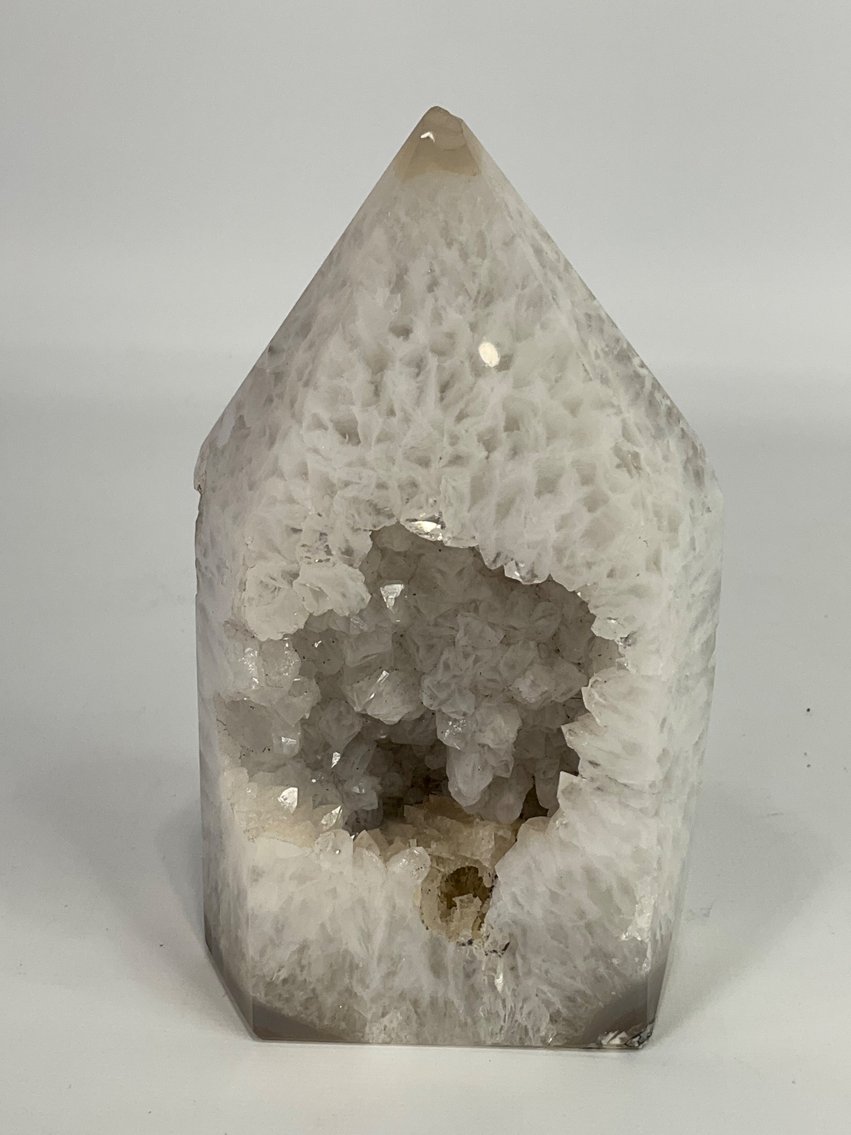 Image for Delightful Discoveries July 2024