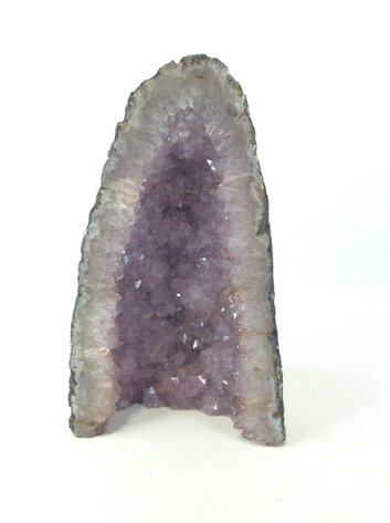 Image for Wacky Wednesday August 2024