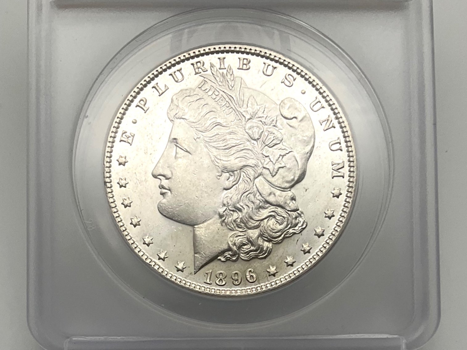 Image for Coins and Currency August 2024