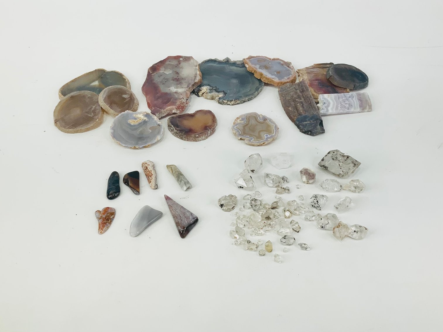 Image for Delightful Discoveries September 2024