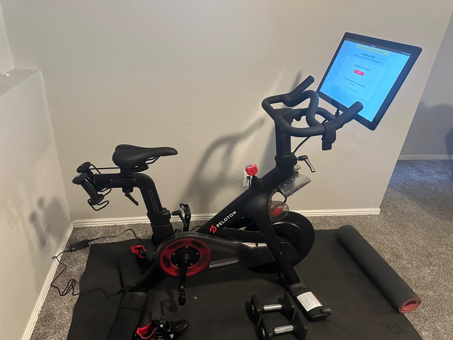 Image for Delightful Discoveries September 2024