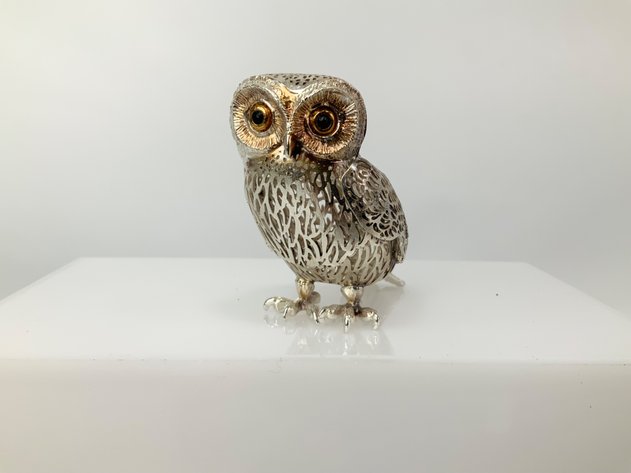 Image for Delightful Discoveries October 2024