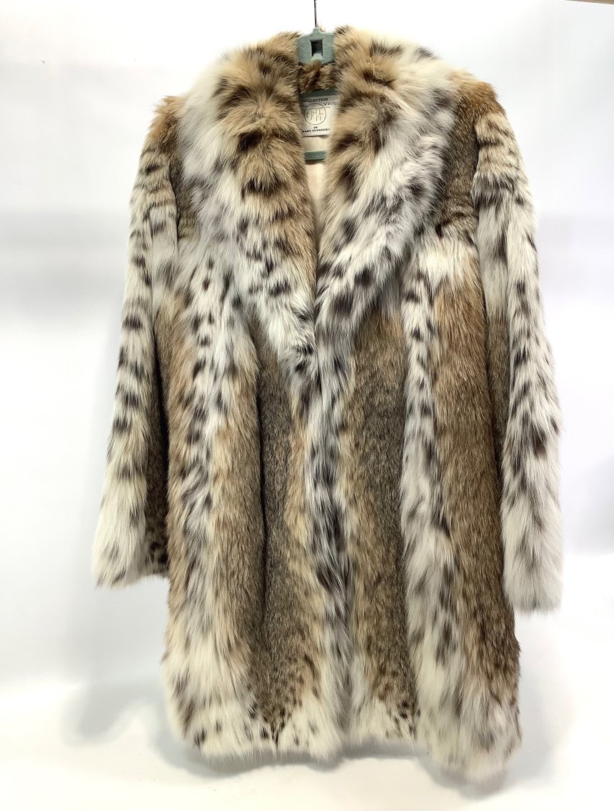 Image for Something Spectacular November 2024