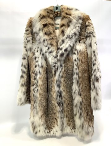 Image for Something Spectacular November 2024