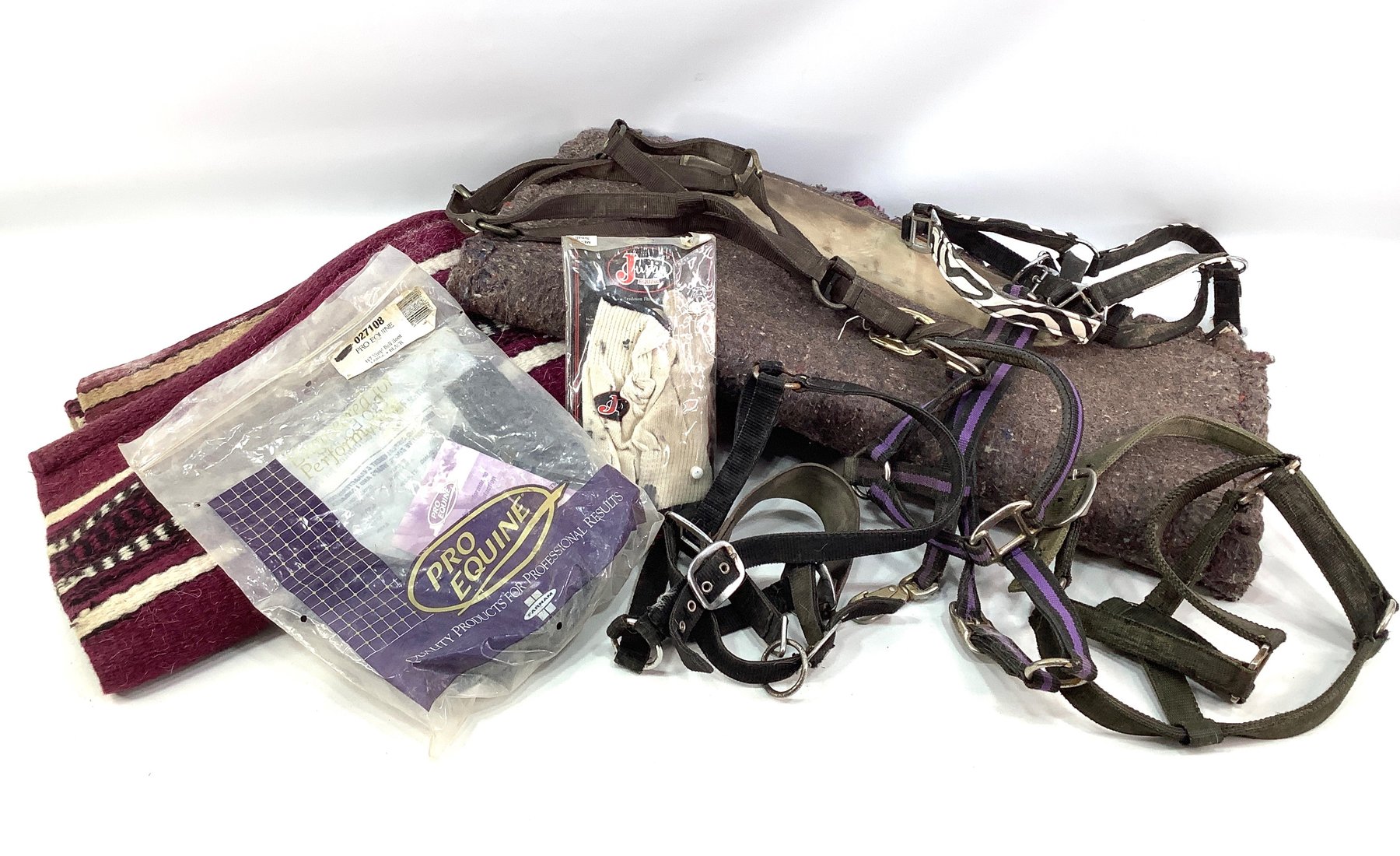 Image for Whimsical Wonders January 2025